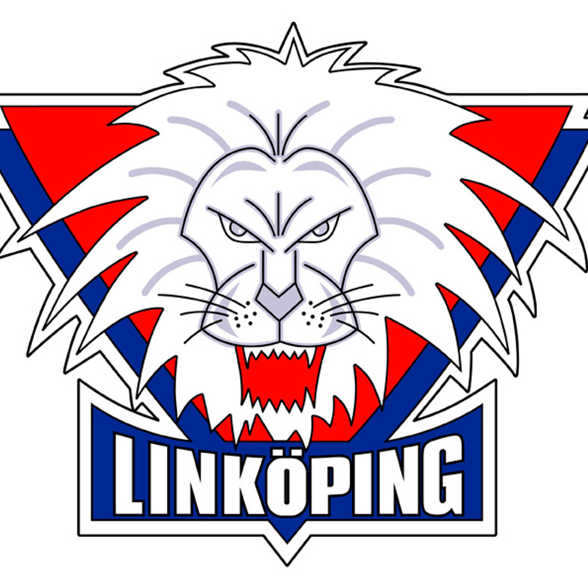 Linköping HC: Klä dig rätt - klä dig i en matchanvänd LHC-tröja!
