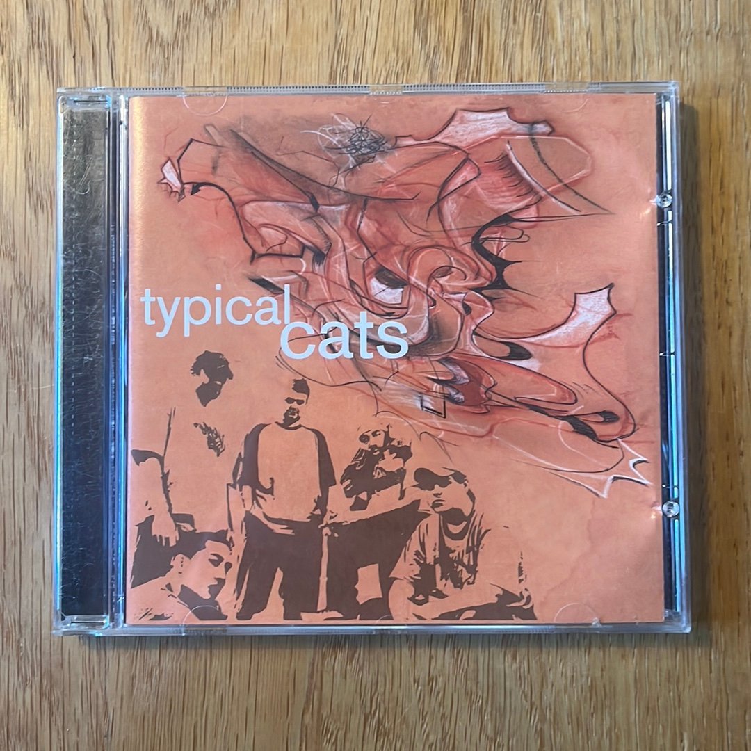 Typical cats | Köp på Tradera (705818583)