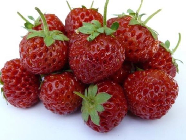 Jordgubbar stickling jordgubbsplantor Framberry hallonsmak