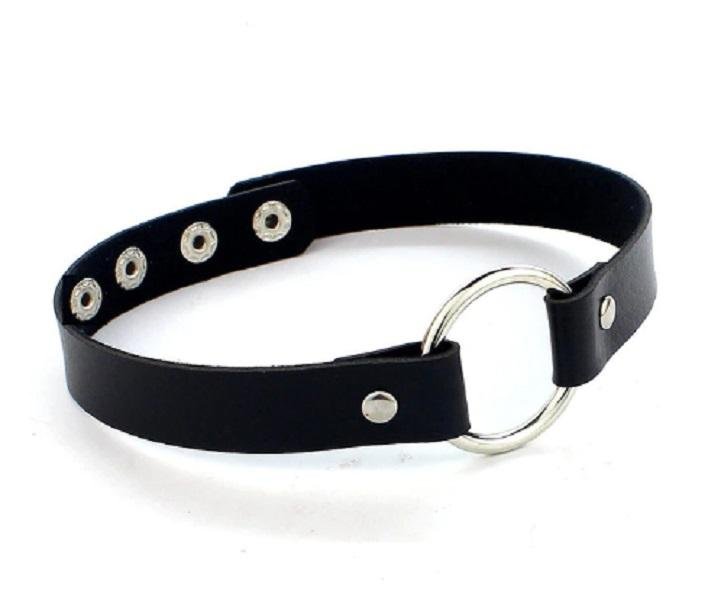 o ring dog collar