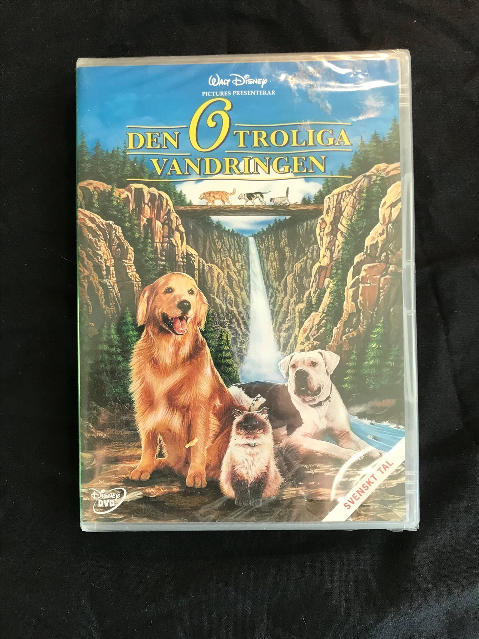 den otroliga vandringen den otroliga vandringen