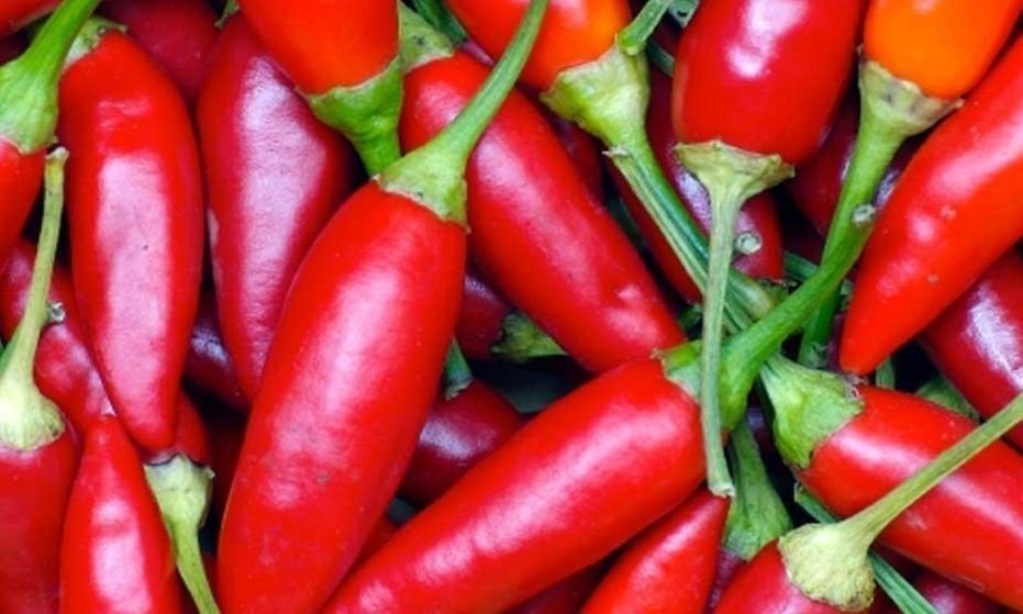Piri Piri ( 5 st frö ) - Medelhet chilisort