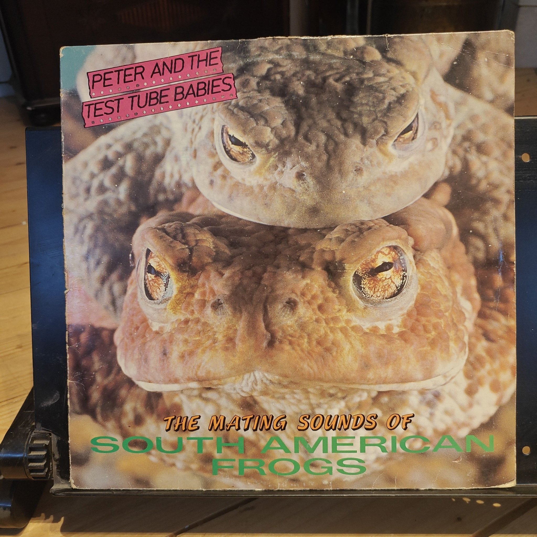 Peter And The Test Tube Babies – Frogs Peter And The Test Tube Babies – The Mating Sounds Of South
