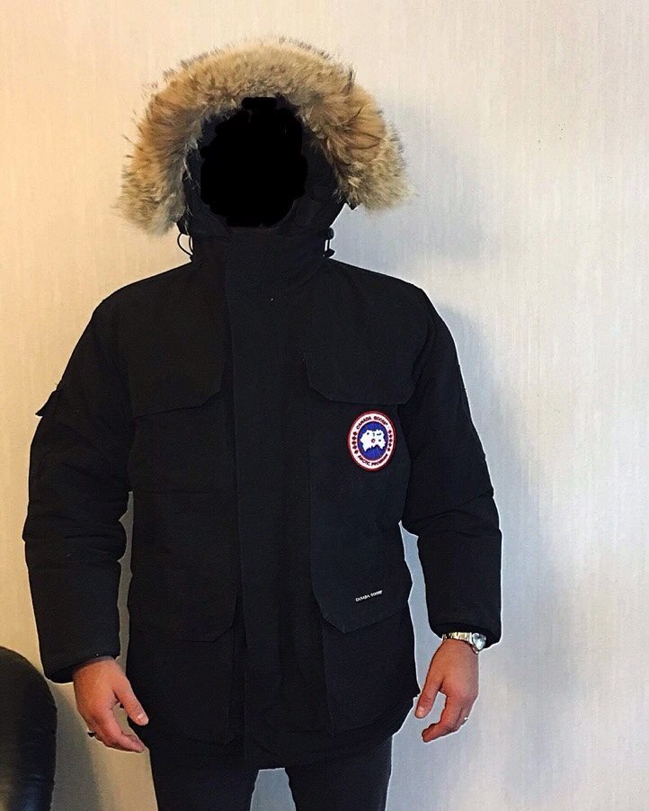 canada goose herrjacka canada goose herrjacka