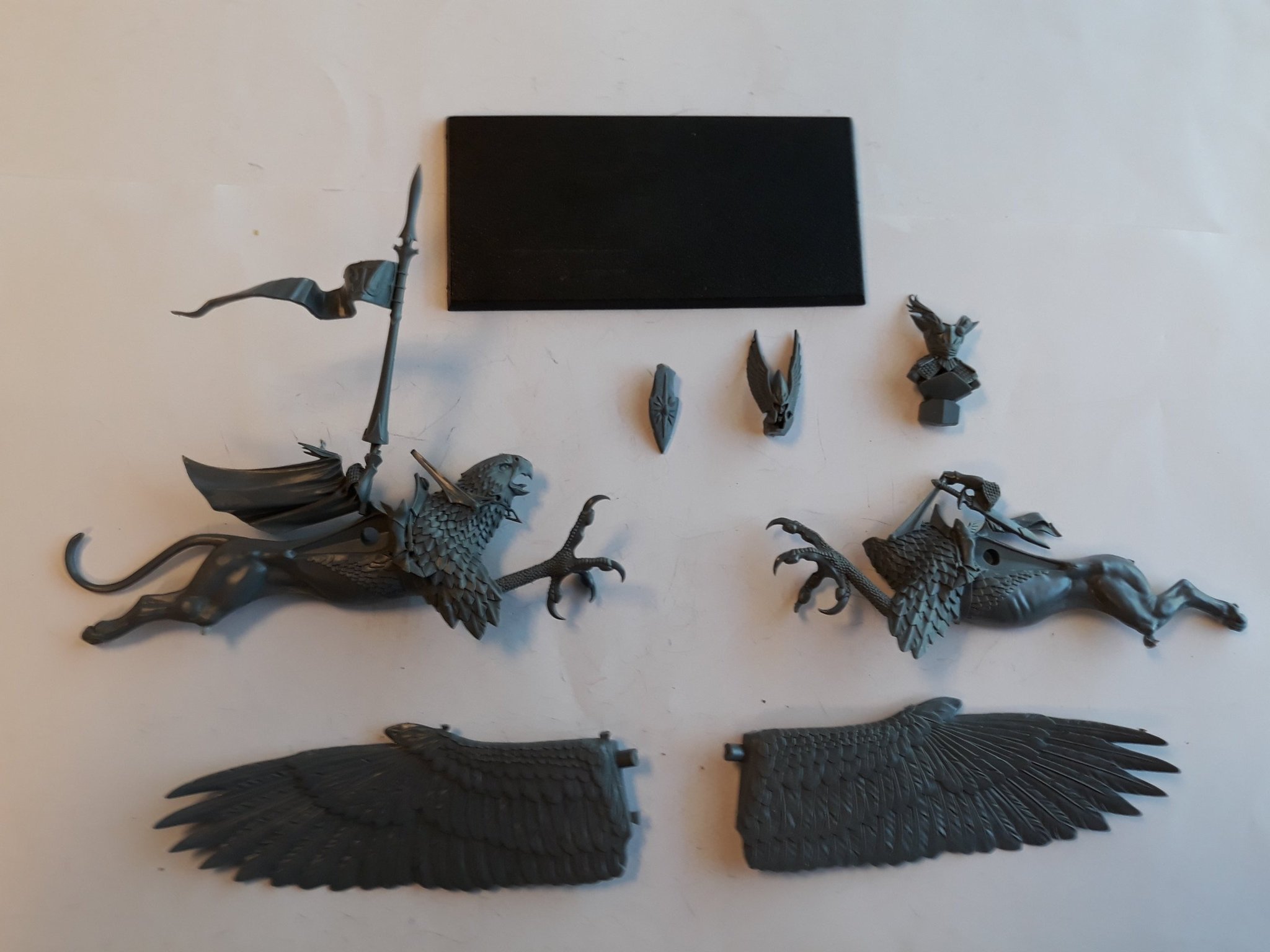 Warhammer Fantasy - High Elves - Lord on Hippogriff