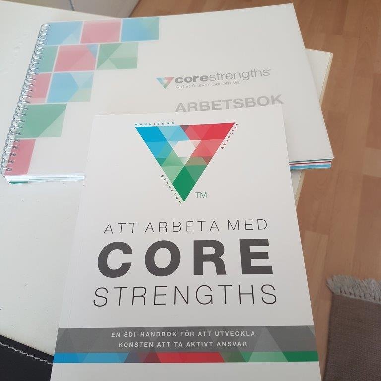 bok Att arbeta med Core strengths SDI handbok +.. (410725700) ᐈ Köp på