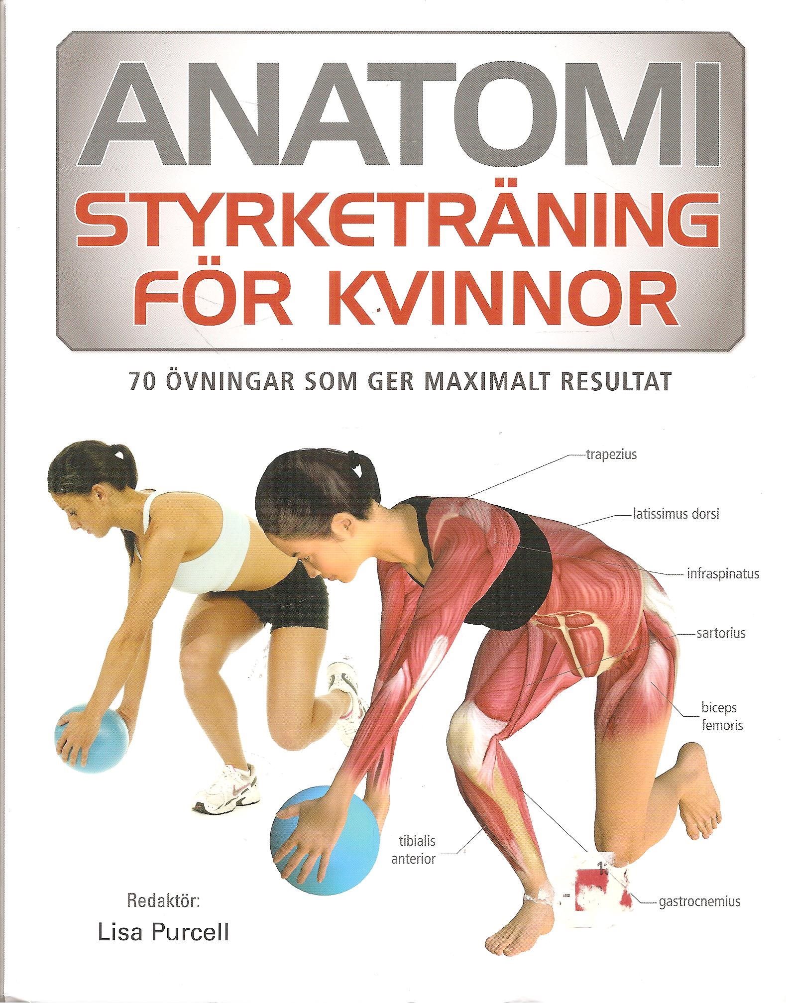 styrketräning för kvinnor övningar styrketräning för kvinnor övningar