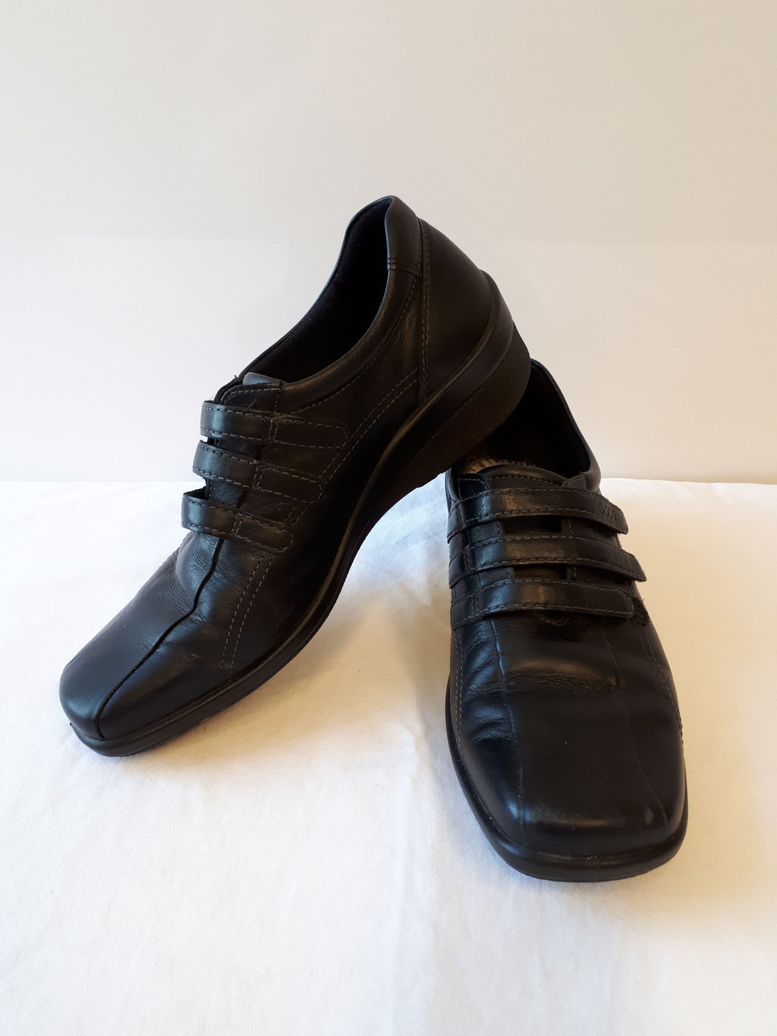 ecco light shock point