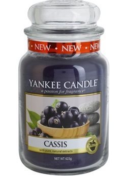 cassis svarta vinbär cassis svarta vinbär