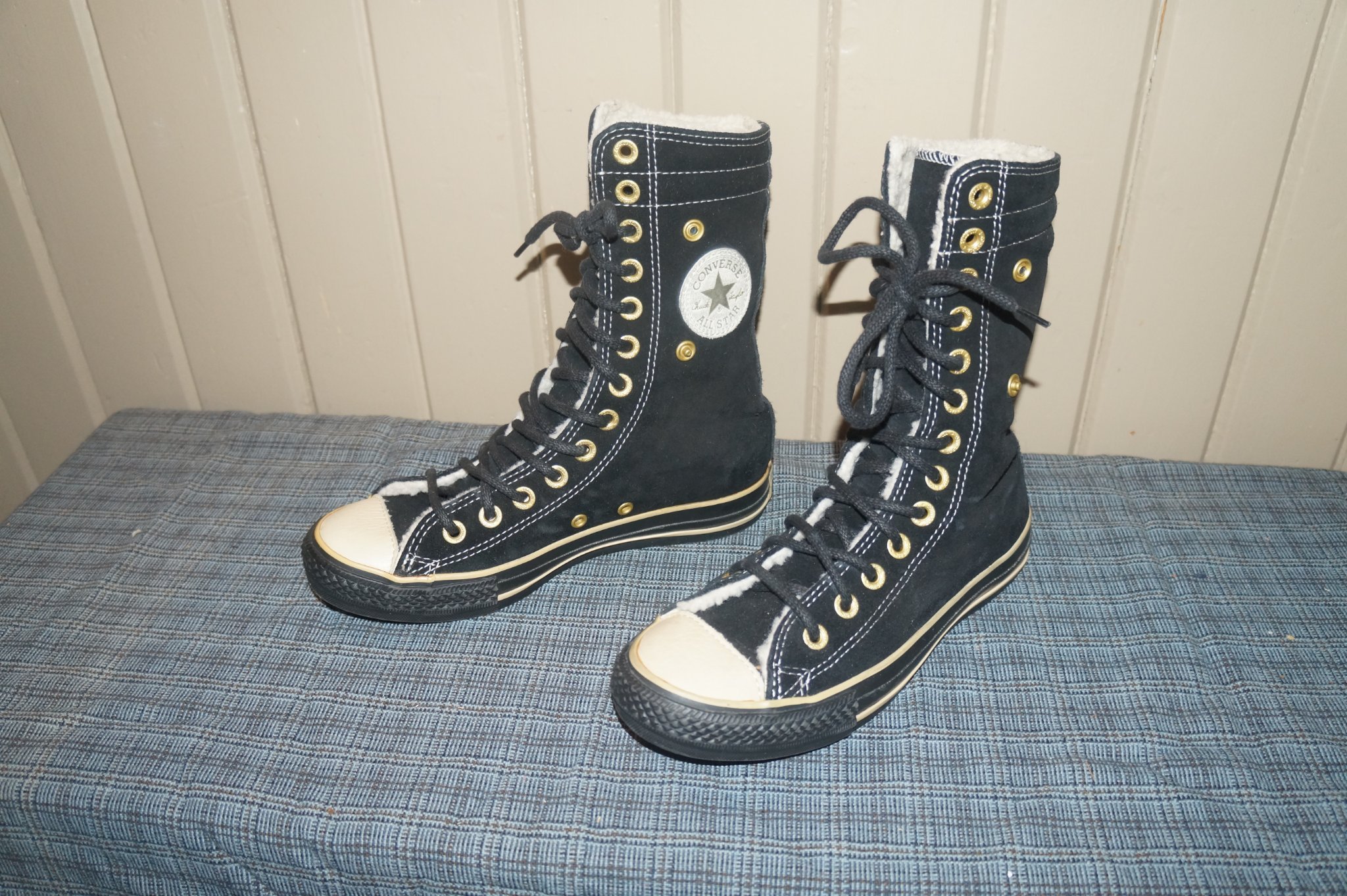 teddy converse