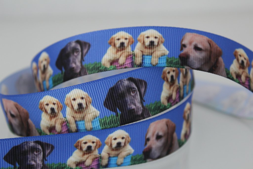 1 meter Golden retriver Labrador band, napphållare, dekorband, scrapbooking