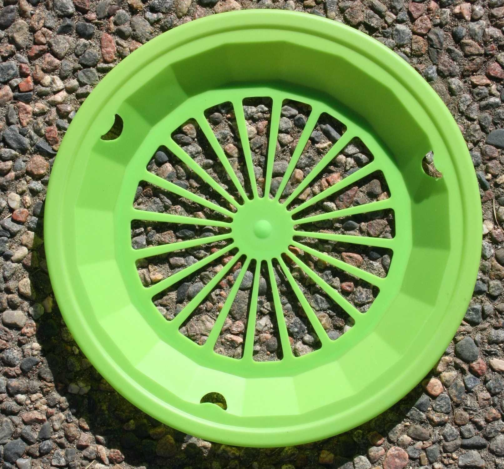 Papperstallrik hållare 4 pack Lime Ny Vara