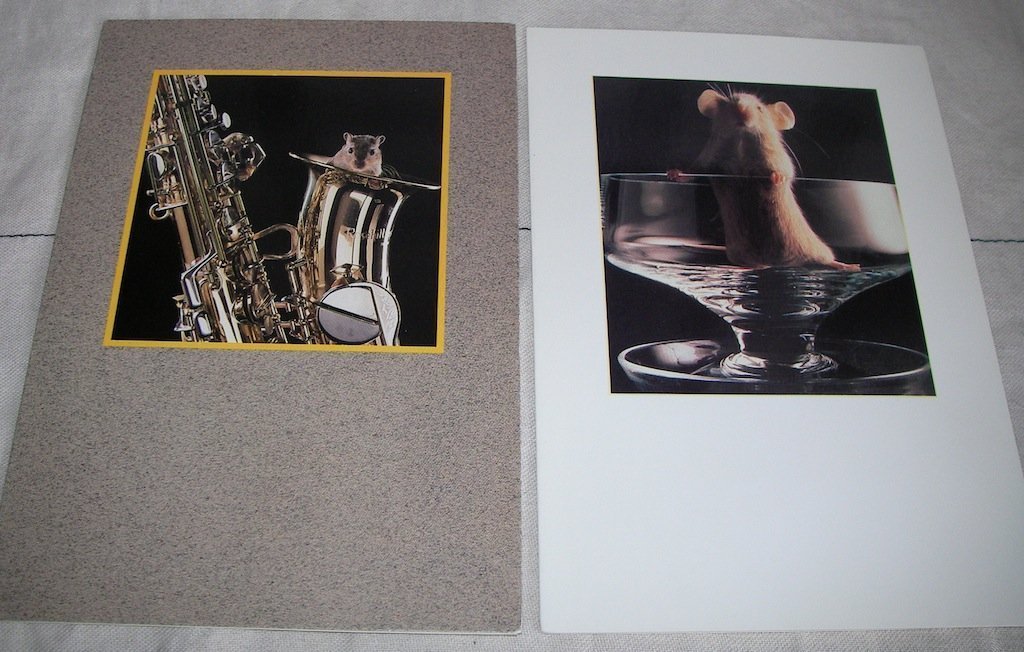Vykort Möss - Mus i Saxofon av Tim Imrie + Mus i Glas av Tony Stone Athena Photo