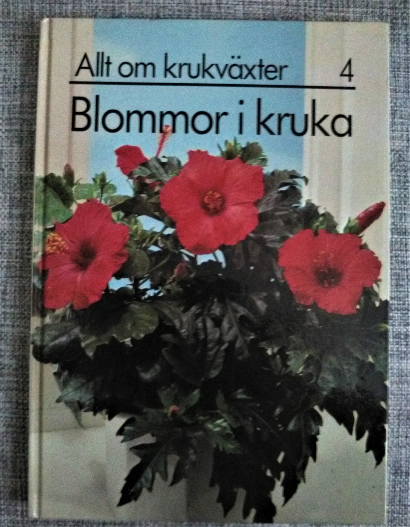 Bok Blommor i kruka Allt om krukväxter 4 växter inomhus fönster blomma