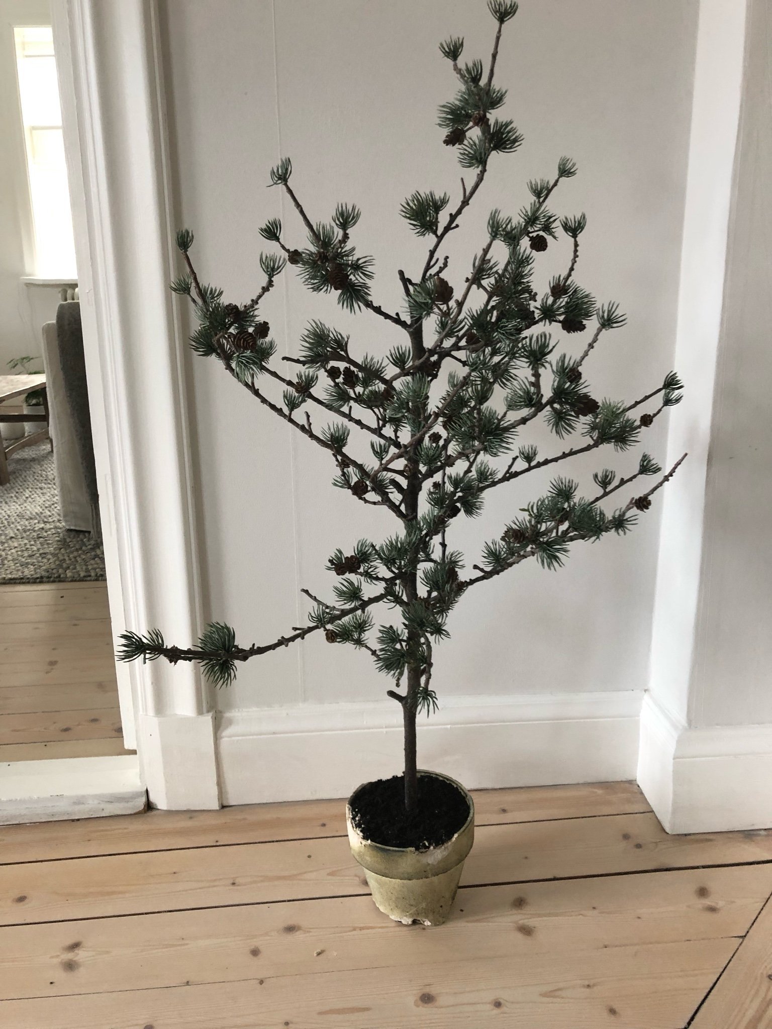 Lärkträd/konstgjord växt/träd/växt/jul/julgran/.. (370253366) ᐈ Köp på