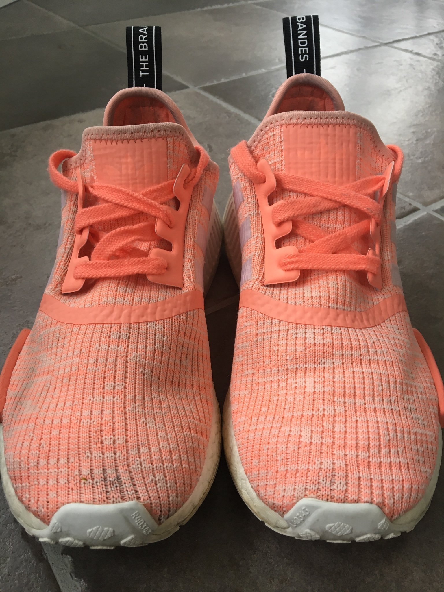acg sherpa