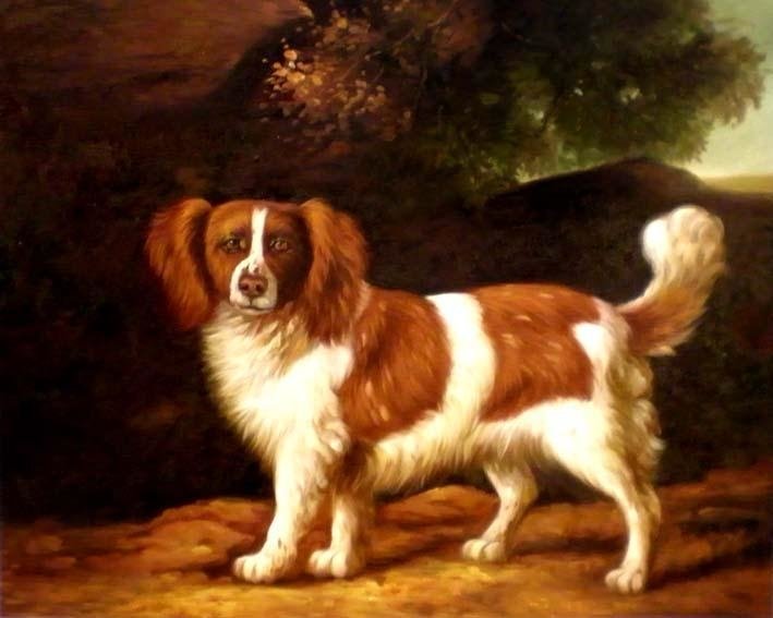 En vacker hund 50x60 cm Oljemålning på duk