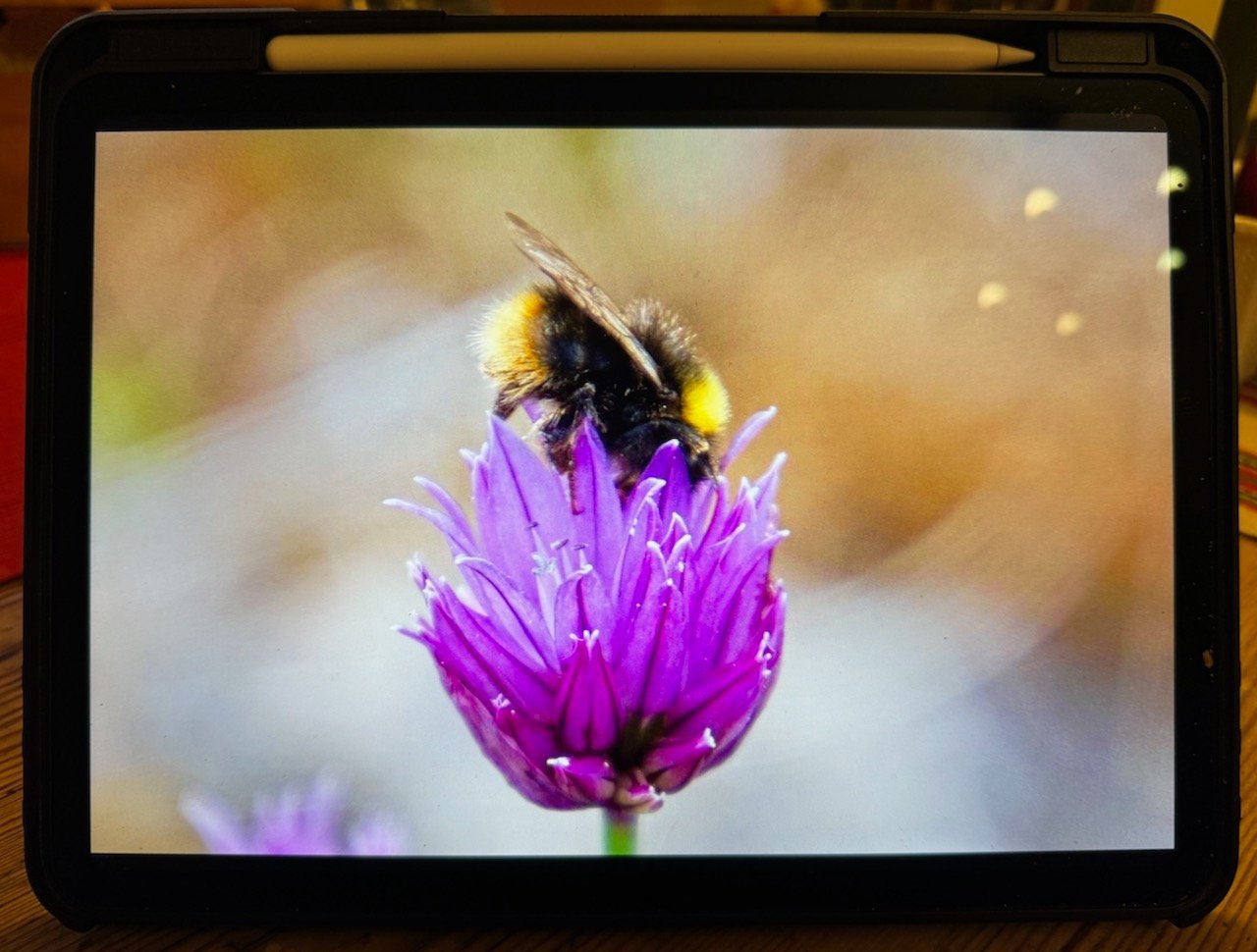Se produkter som liknar Julklapp? Fräsch iPad Pro 11 .. på Tradera