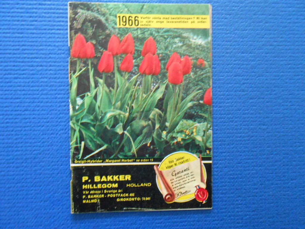 Katalog 1966 P Bakker Hillegom Holland Köp på Tradera (287276754)