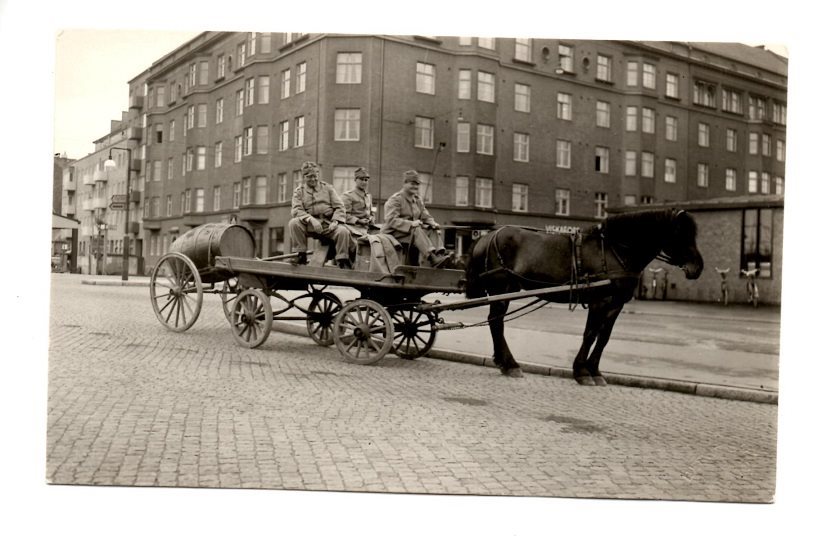 häst och vagn malmö häst och vagn malmö