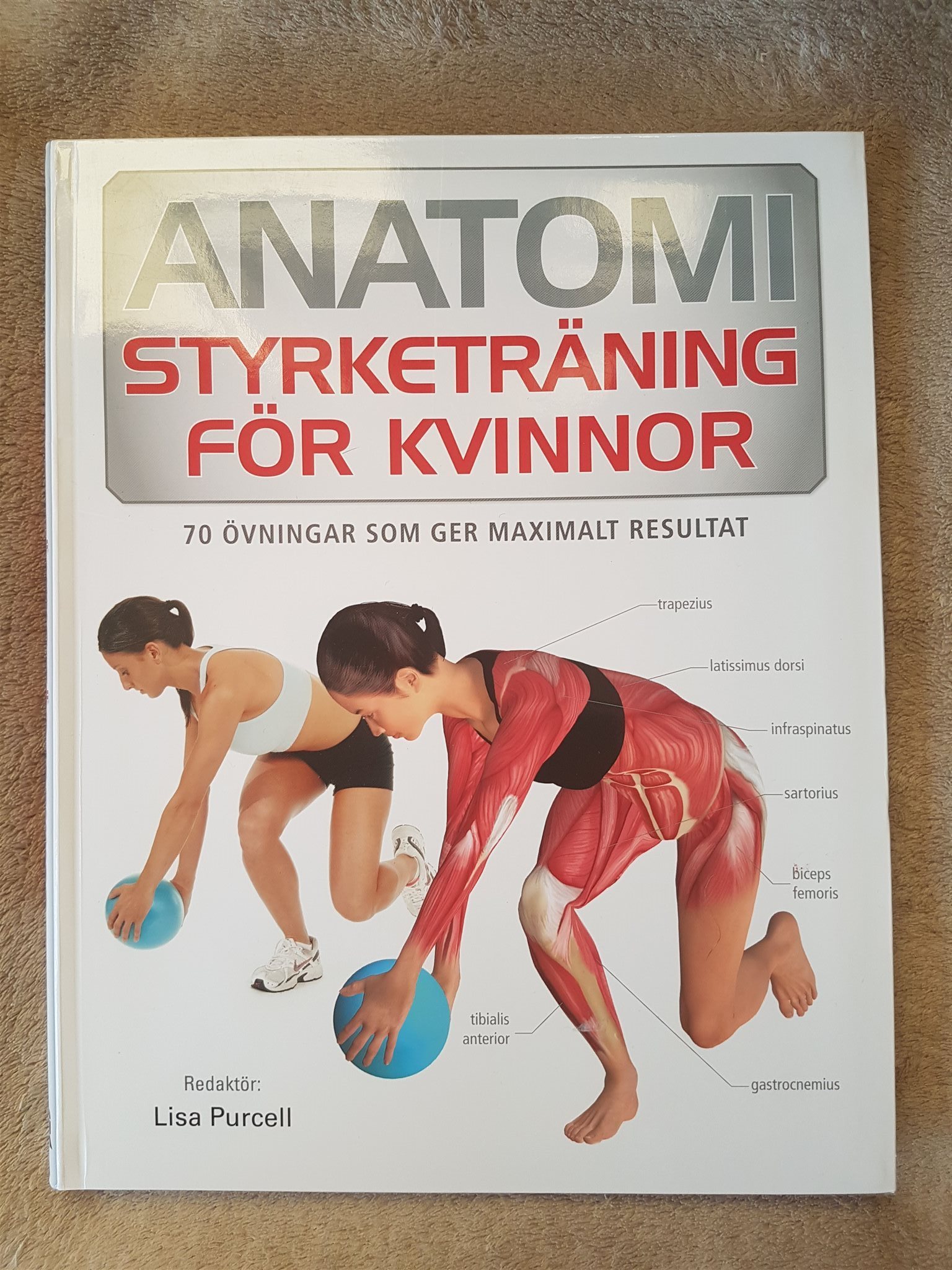 styrketräning för kvinnor övningar styrketräning för kvinnor övningar