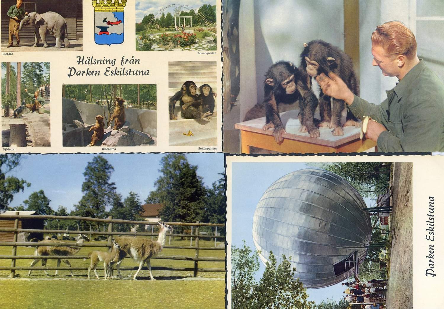 Parken Zoo Eskilstuna .. Köp från LindbladCartophilia på Tradera