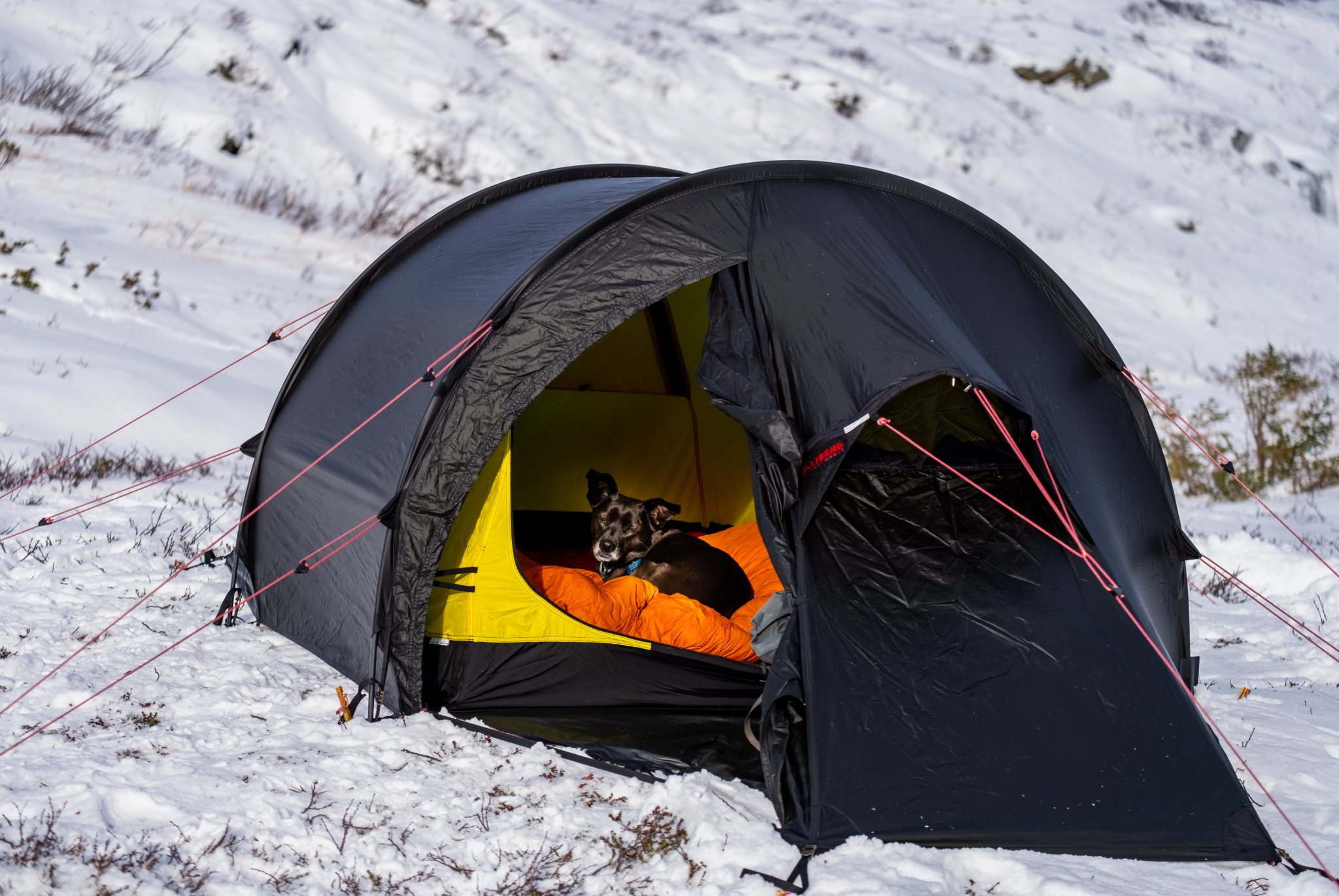 Hilleberg Nammatj 2 med Skyddsgolv (421577709) ᐈ Köp på Tradera Hilleberg Nammatj 2 med Skyddsgolv (421577709) ᐈ Köp på Tradera