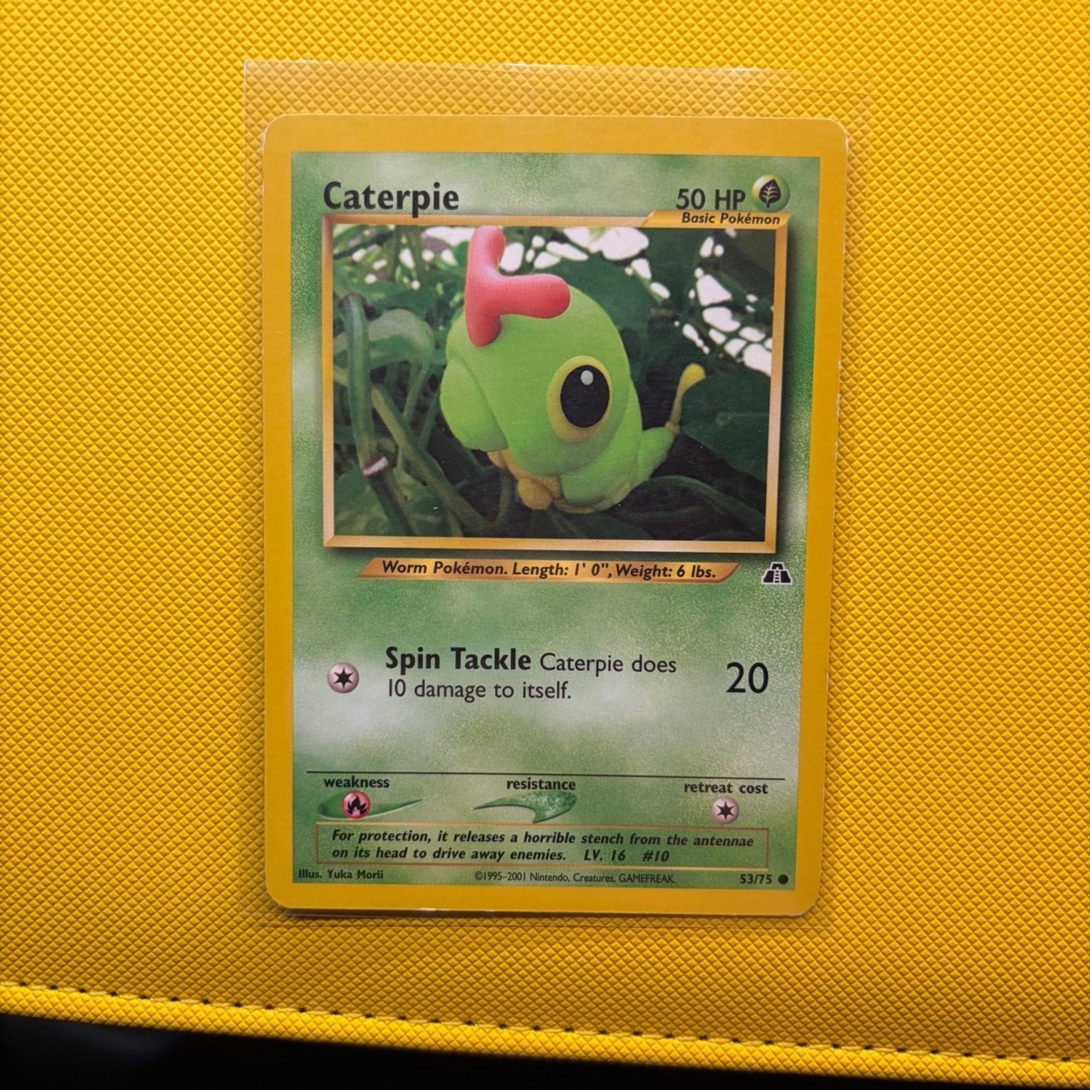 Caterpie 53/75 Neo Discovery Pokemonkort Yuka m.. | Kp p Tradera  (728041540)