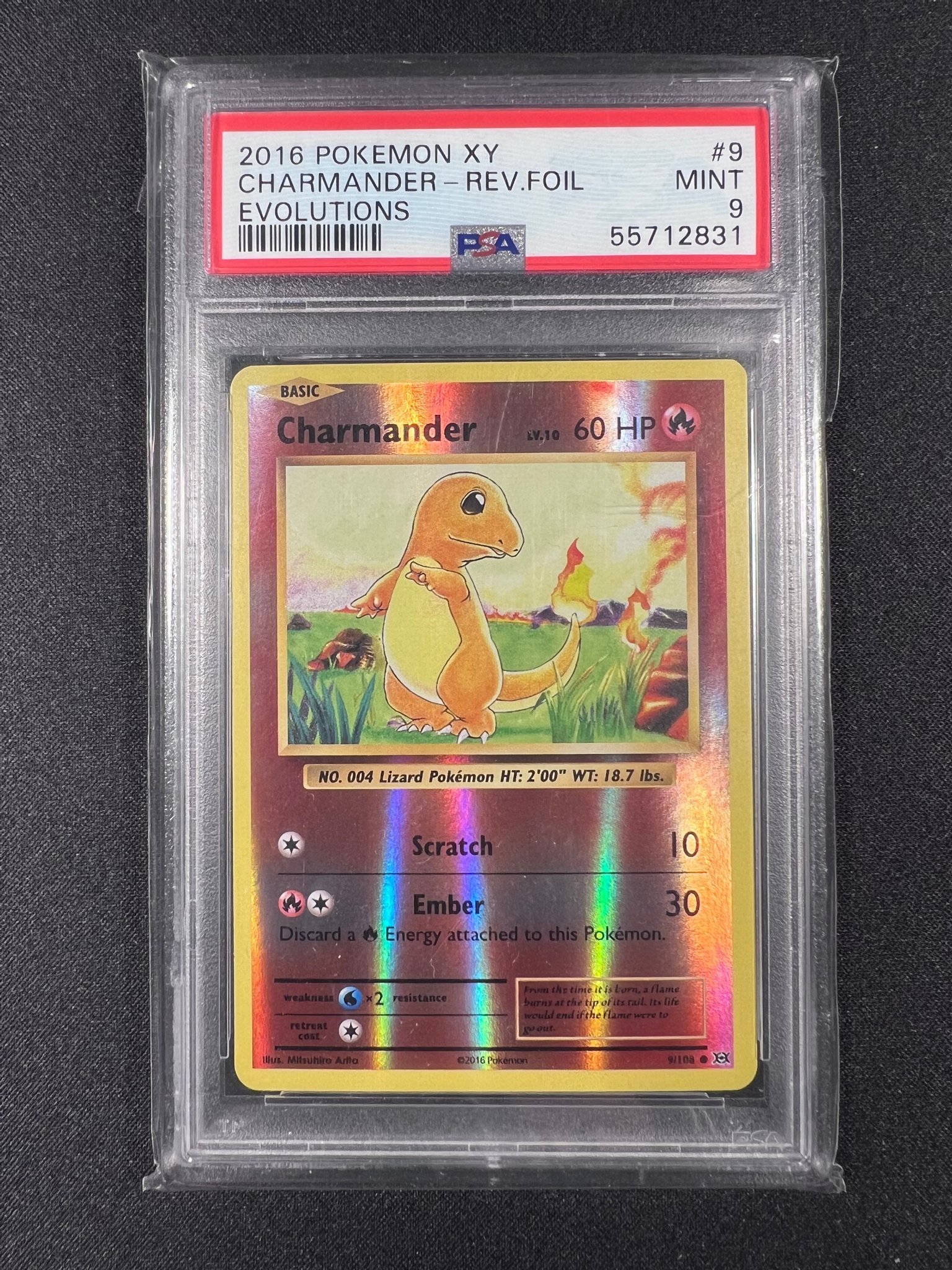 Pokemon - Charmander (9/108) - XY Evolutions - Reverse Holo