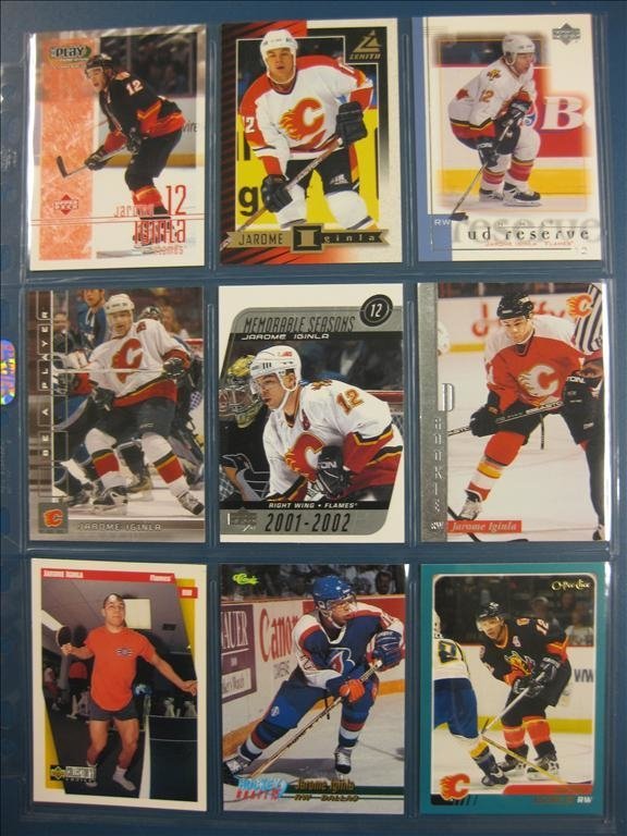 JAROME IGILNA - 9 ST BILDER - LOT 5