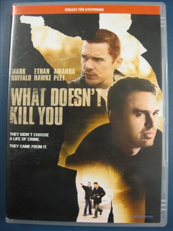 WHAT DOESNT KILL YOU - ETHAN HAWKE