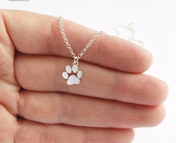 halsband till katt halsband till katt