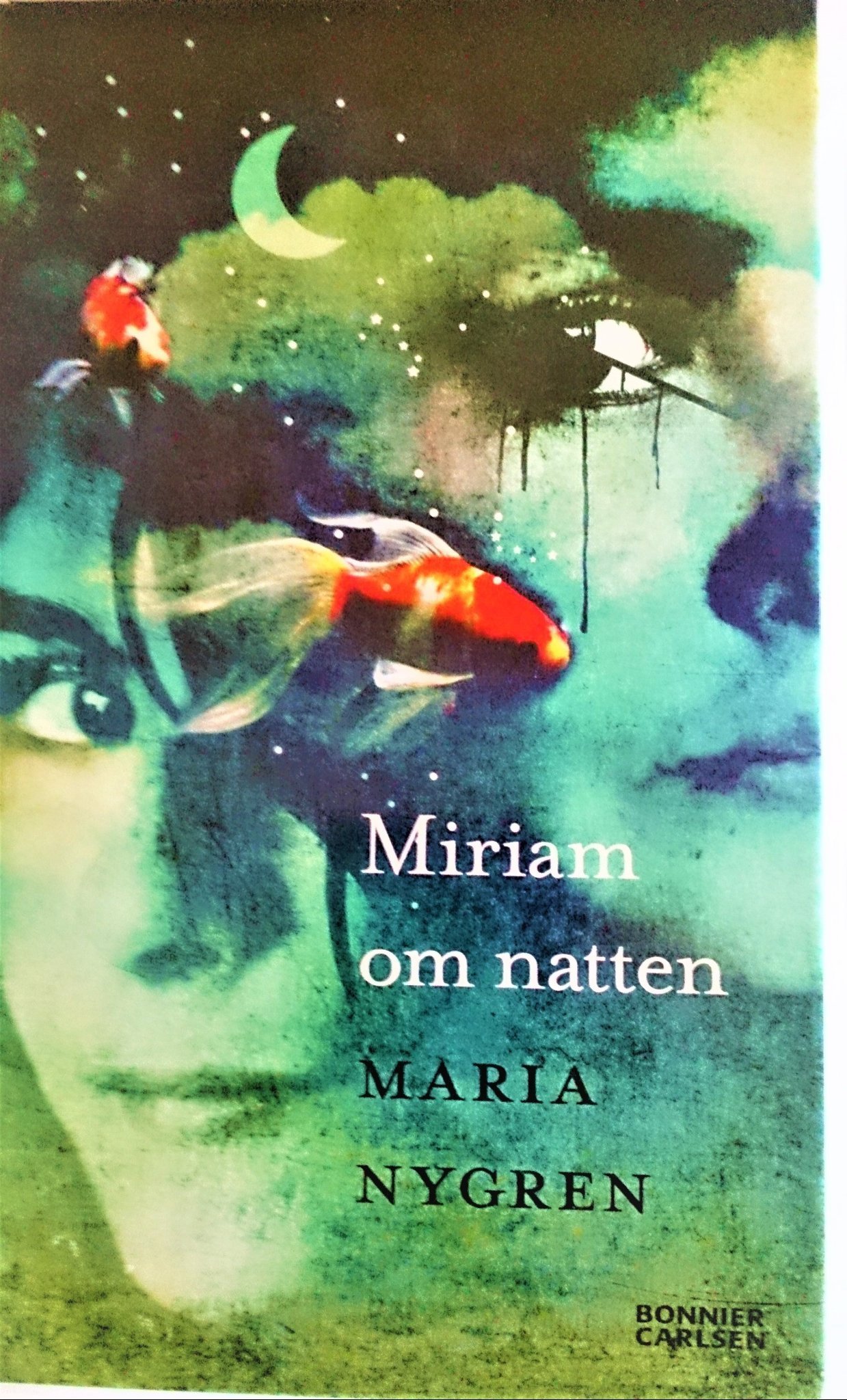 MIRIAM OM NATTEN. AV MARIA NYGREN