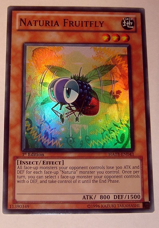bài yugioh: naturia fruitfly | Việt Nam