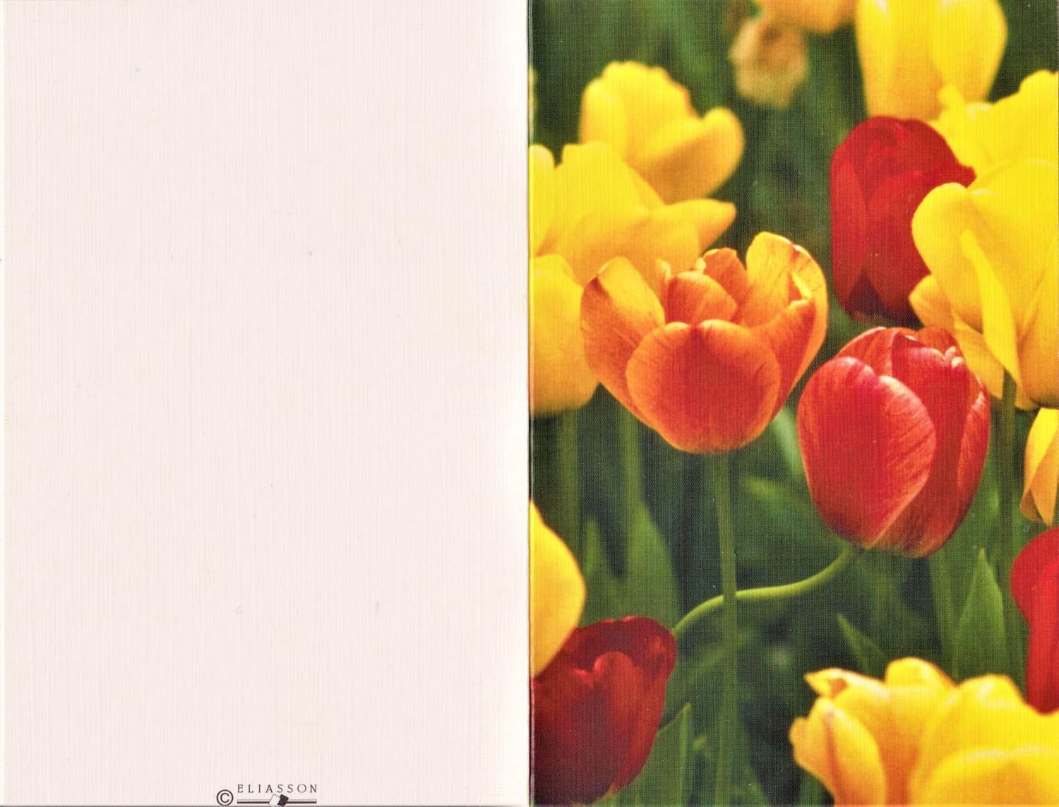 BLOMSTER KORT DUBBELT