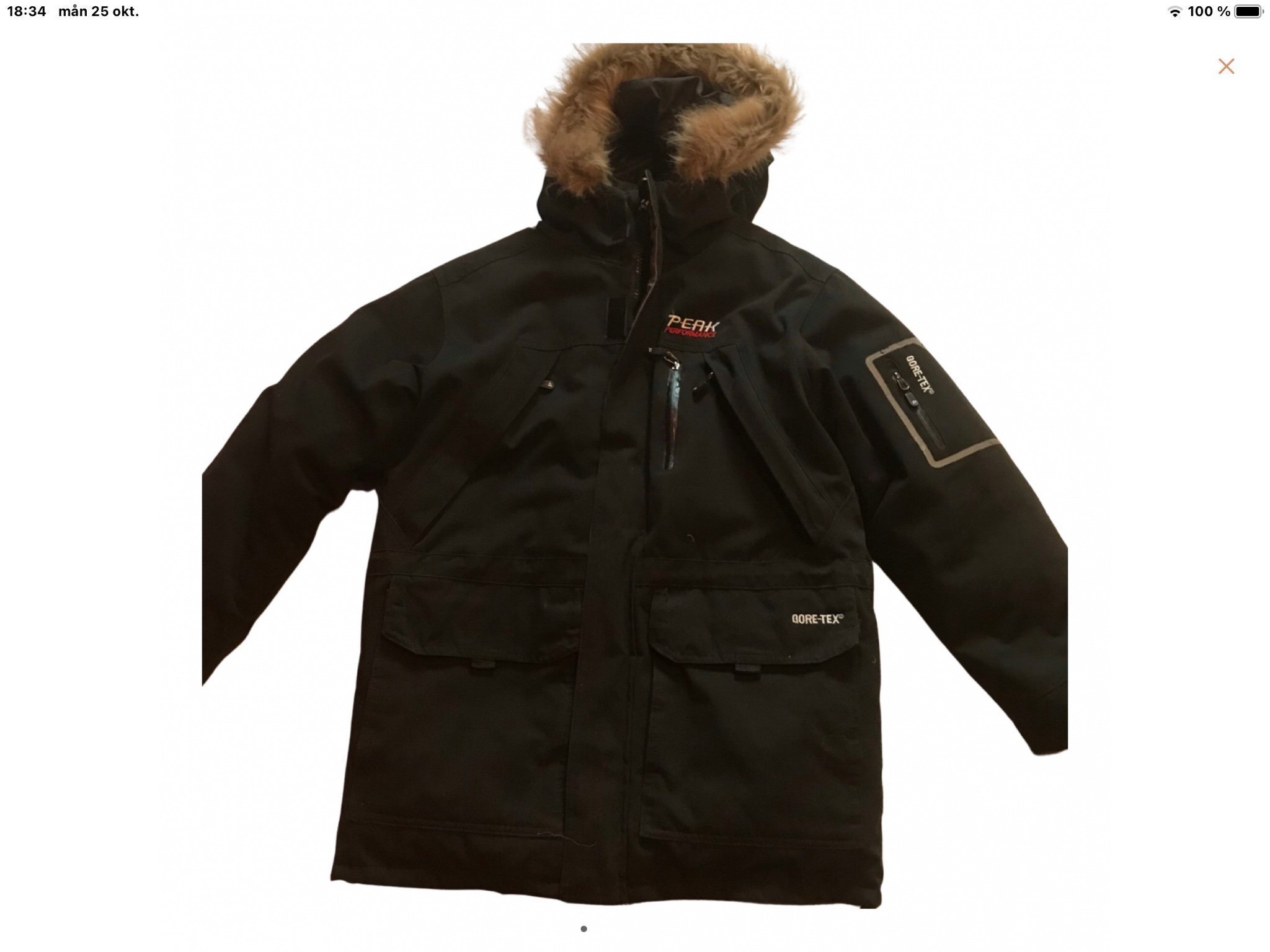 peak performance expedition parka