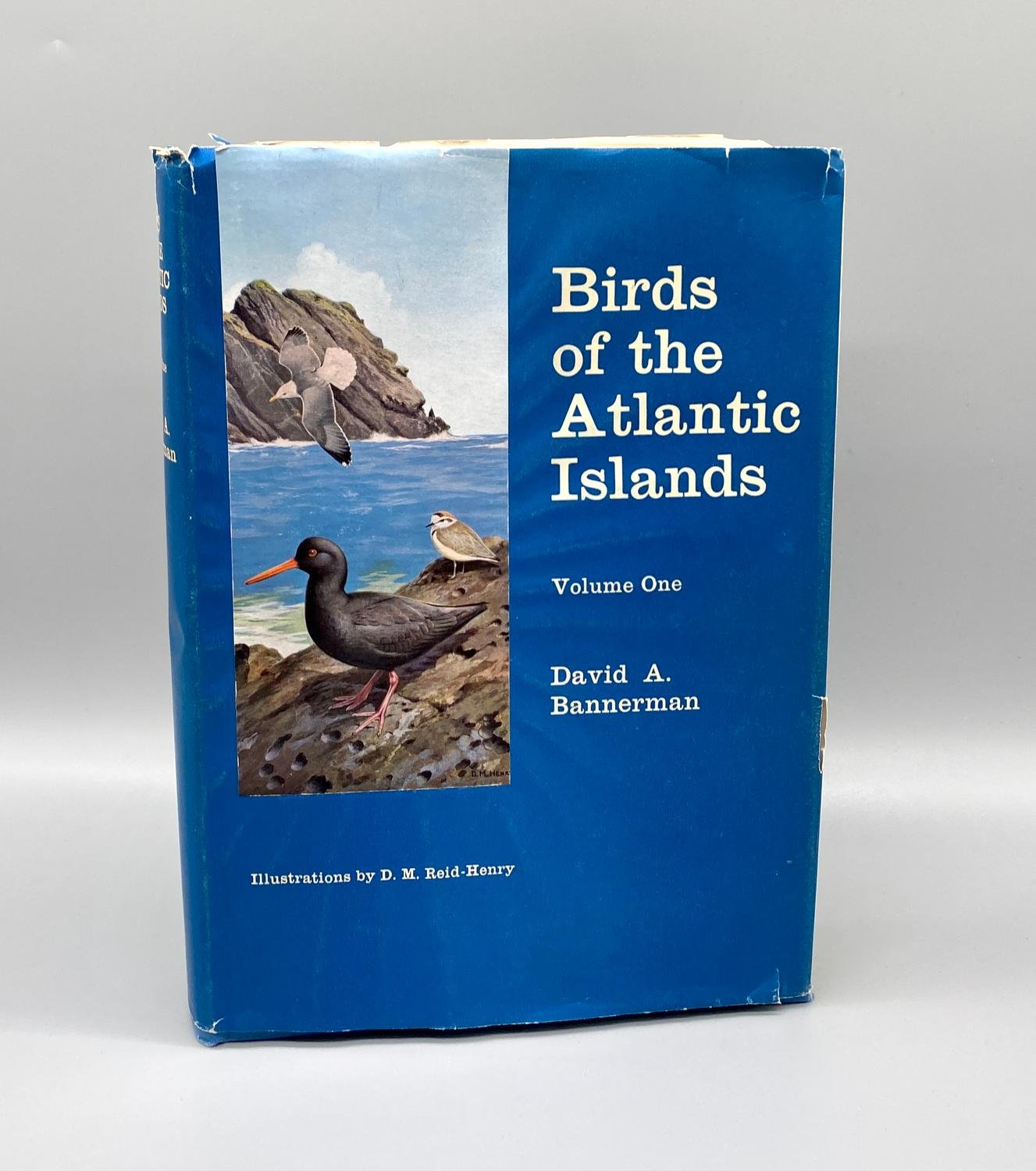 Birds of the Atlantic Islands Vo.. Köp från UtgårdHB på Tradera