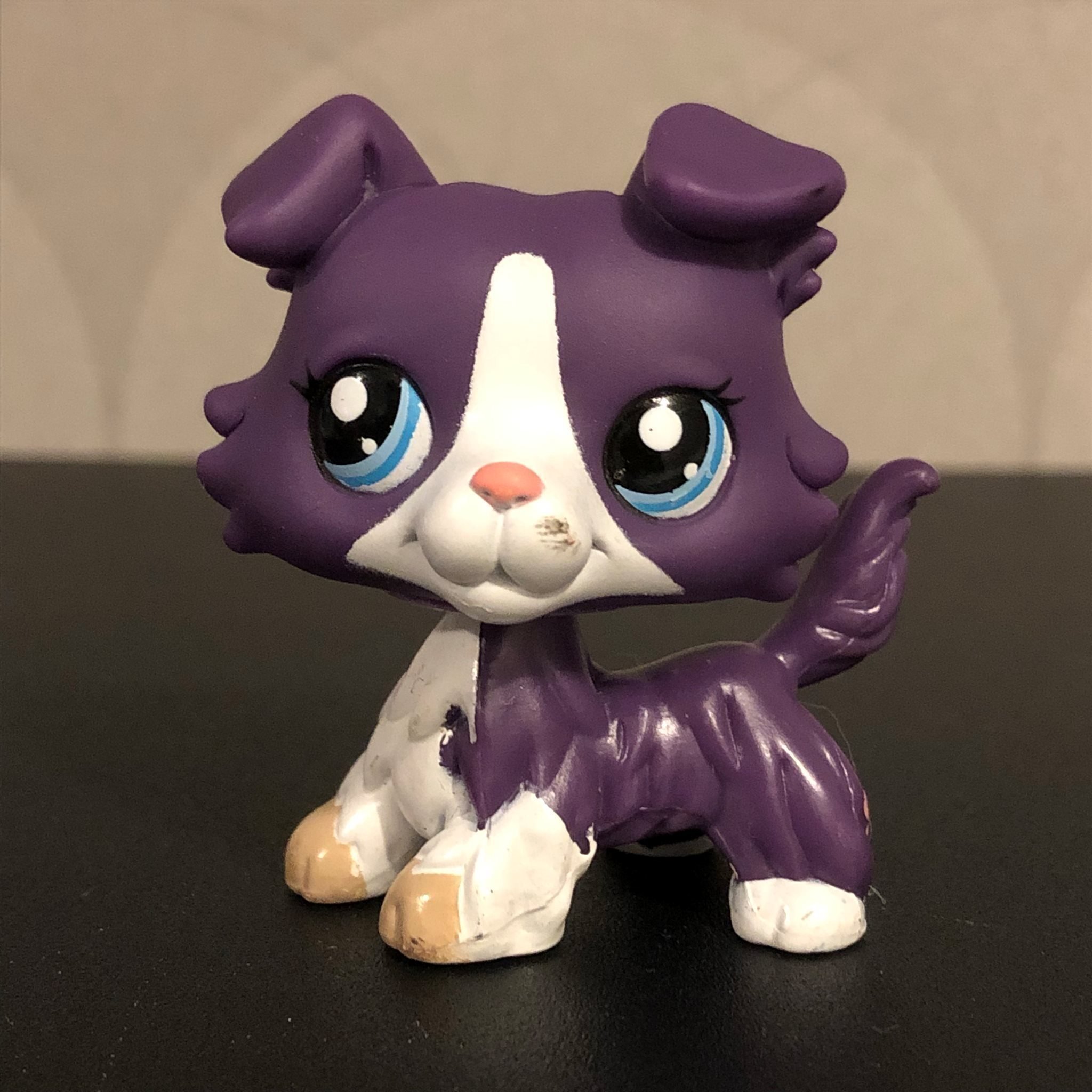 Collie #1676 - petshop, petshops, pet shop, pet (361109430) ᐈ Köp