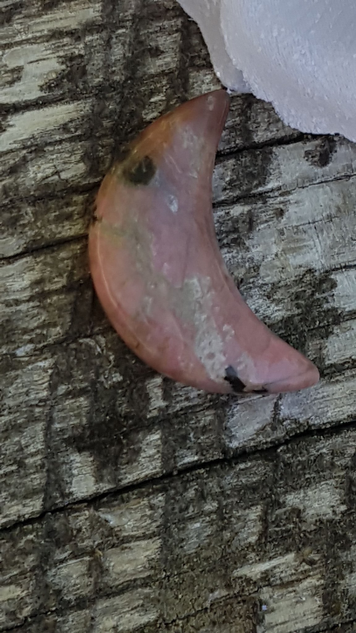 Rodonit Måne rhodonite moon chakra healing reiki kristall sten mineral