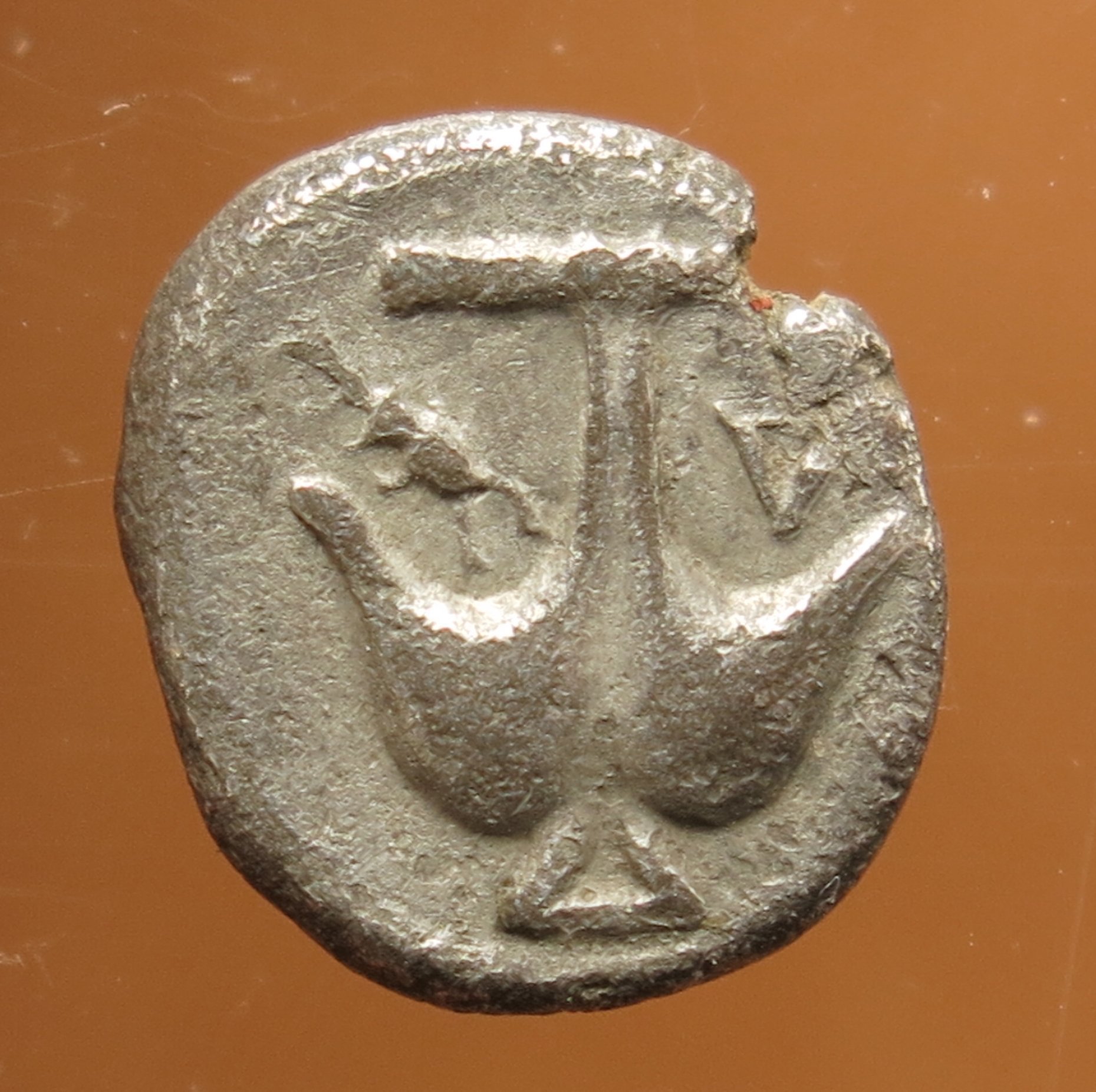 Apollonia Pontica, ca 400300 f. Kr. (453201623) ᐈ Köp på Tradera