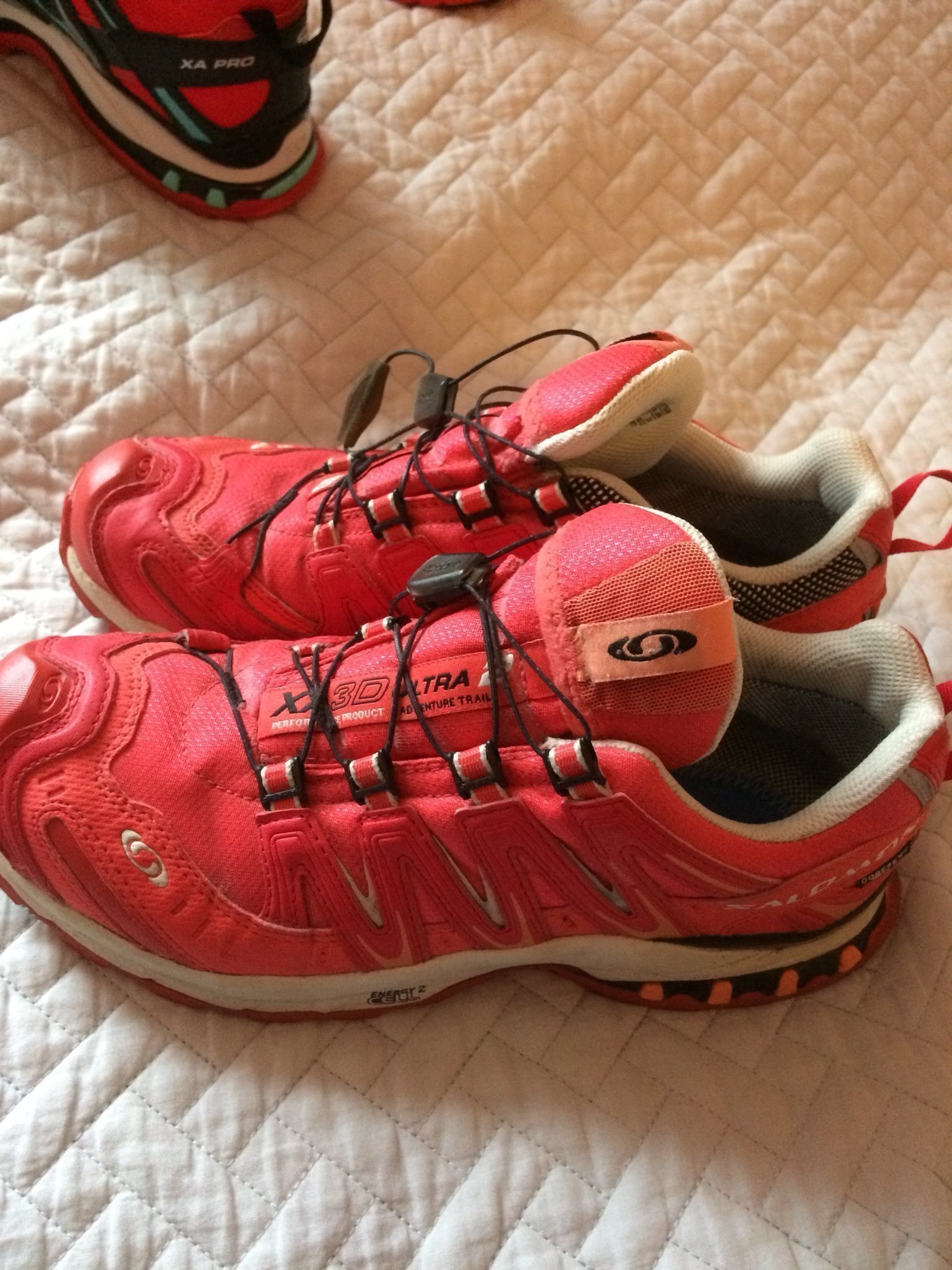 salomon energy 2 cell