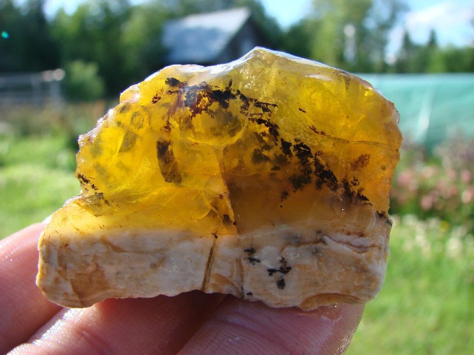 52g Sällsynt Honungs Opal m.Dendriter från Tanzania