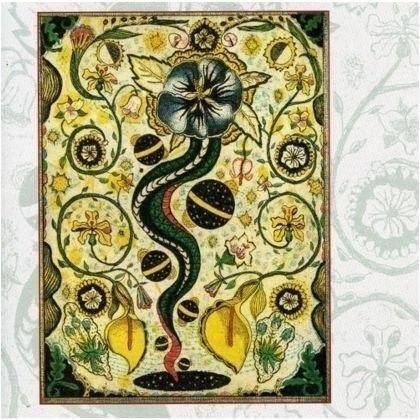 STEVE EARLE - I FEEL ALRIGHT