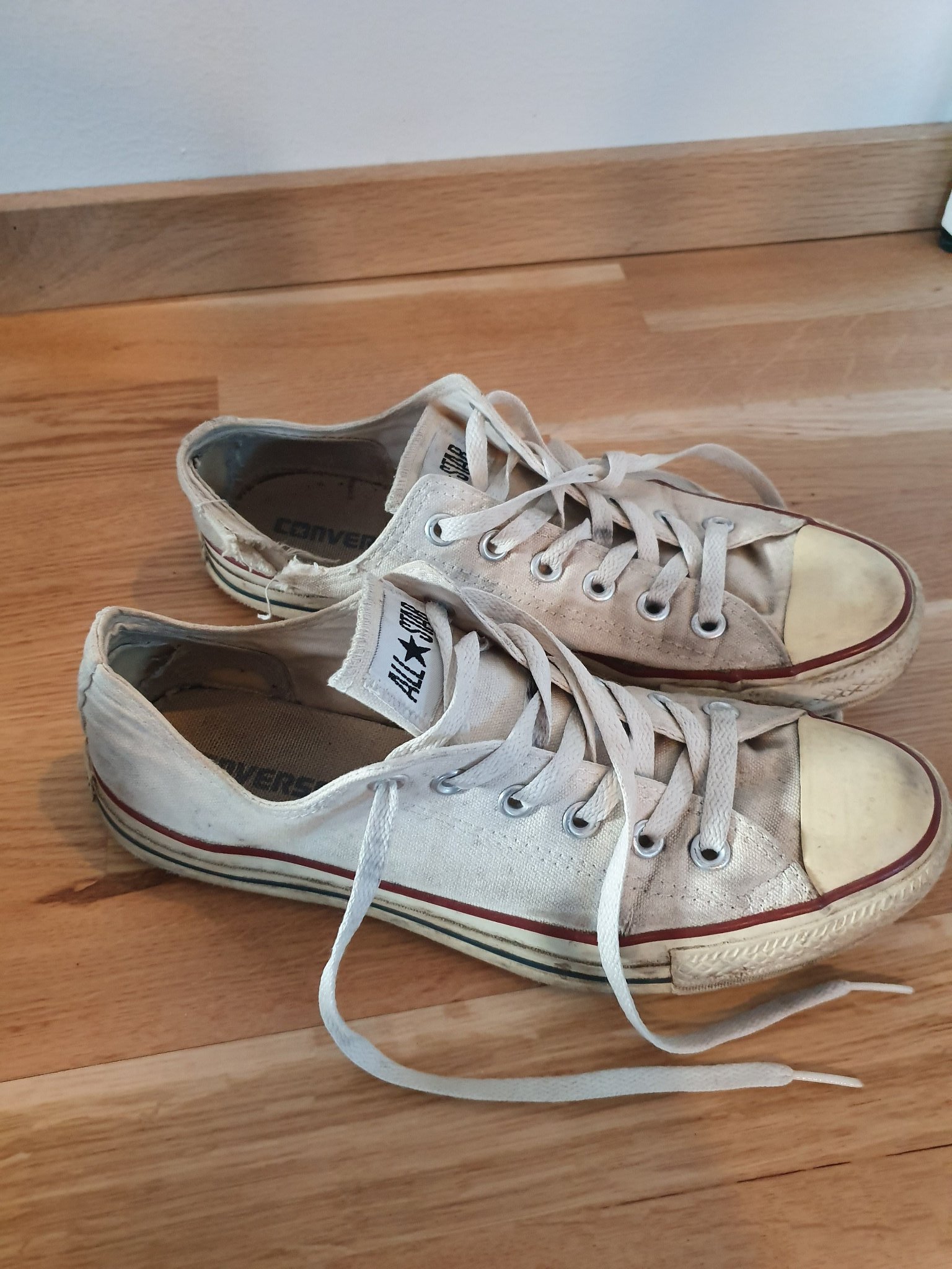 converse sneakers dam