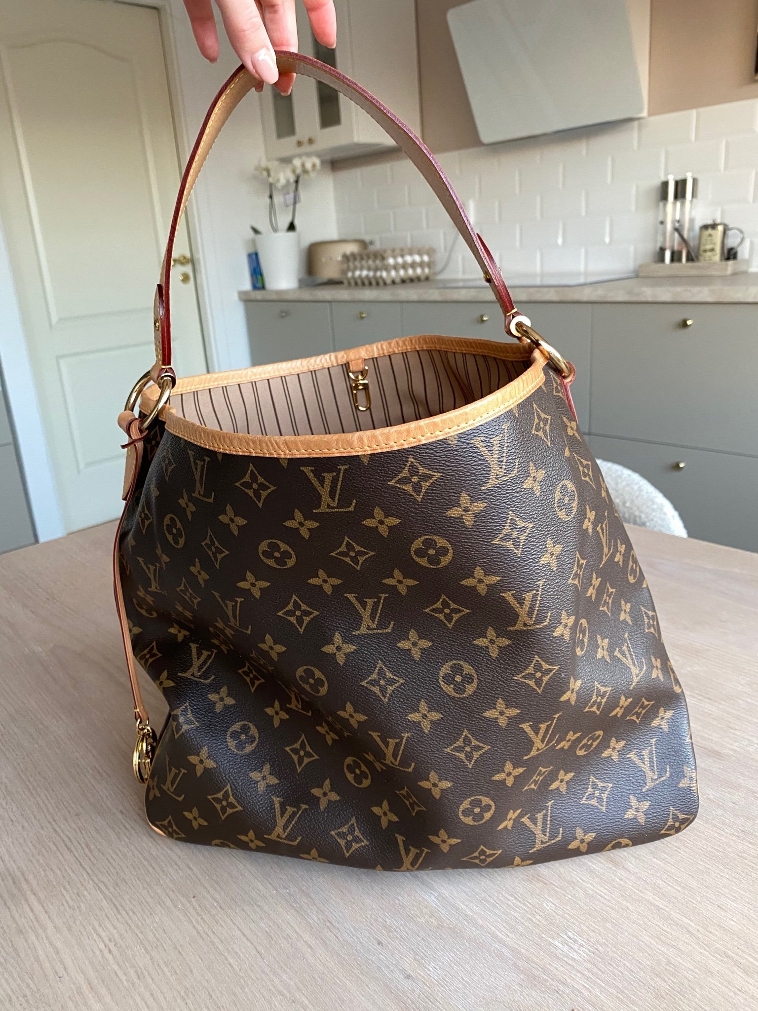 louis vuitton delightful sizes