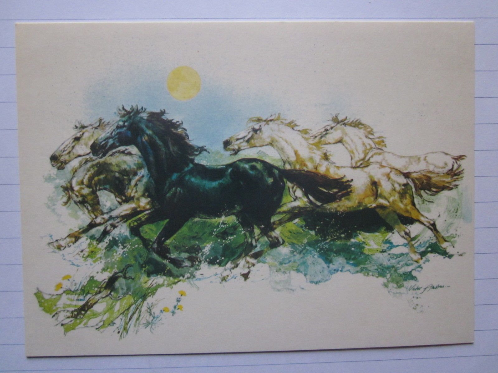 Victor Ambrus Wild horses of Camarge (337511347) ᐈ Köp på Tradera