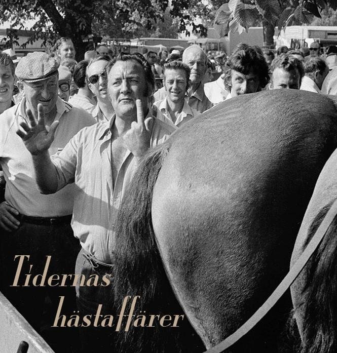 Tidernas hästaffärer 9789198580907