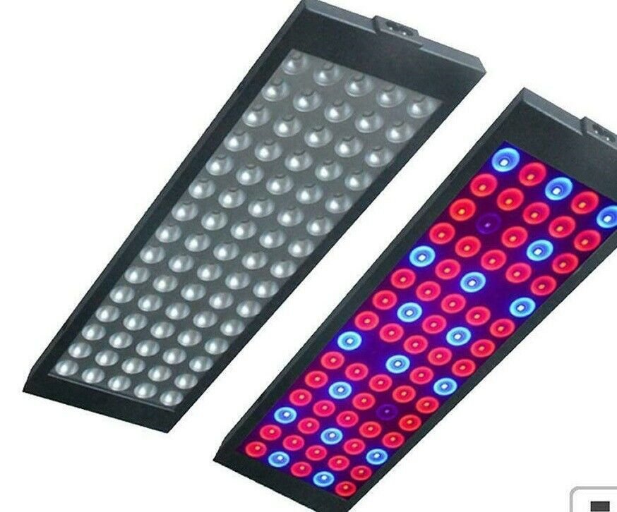 led lampa för innomhusodling av grönsaker frukt cannabis hampa mm ca 5000w led lampa för innomhusodling av grönsaker frukt cannabis hampa mm ca 5000w