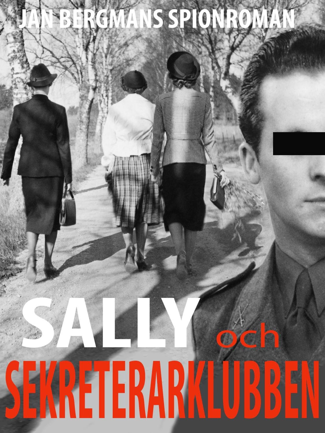 Sally och Sekreterarklubben : sekreterarklubben 1½ 9789188441409