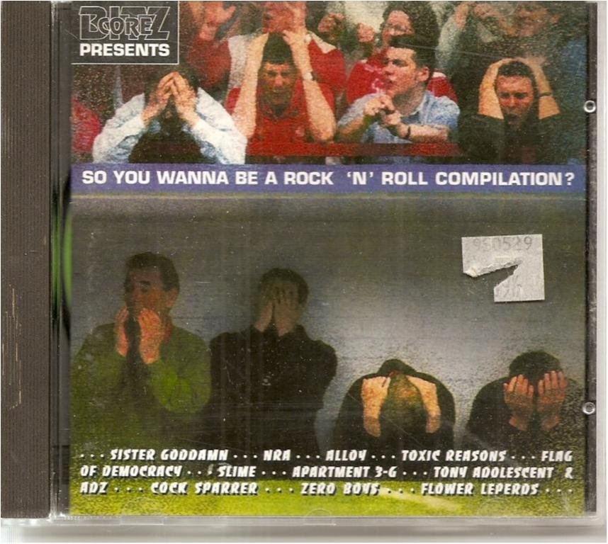 SO YOU WANNA BE A ROCK N ROLL COMPILATION